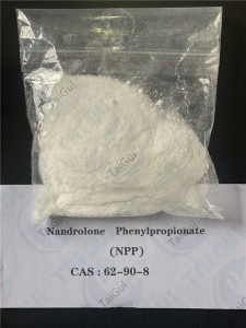Muscle Building Nandrolone Steroid / Nandrolone Phenylpropionate NPP 62-90-8