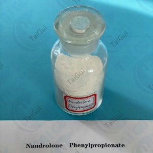 Muscle Building Nandrolone Steroid / Nandrolone Phenylpropionate NPP 62-90-8