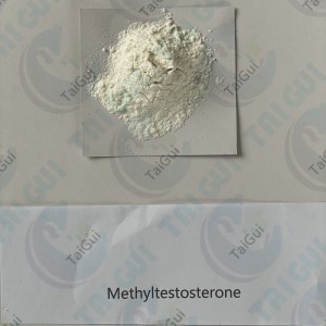 Bodybuilding Supplement Testosterone Anabolic Steroid Methyltestosterone 58-18-4