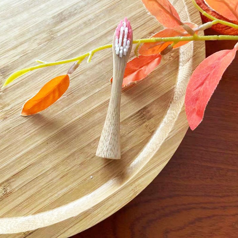 100% Biodegradable Natural and Recyclable Bamboo Toothbrush Heads for Philip Featured Image