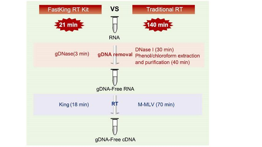 Investigating the miniaturization of DNA library prep for Illumina sequencing