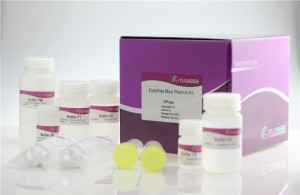 EndoFree Maxi Plasmid Kit
