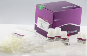RNAprep Pure Micro Kit