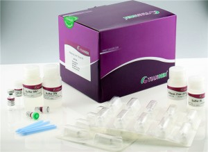 RNAprep Pure Tissue Kit