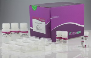 RNAprep Pure FFPE Kit