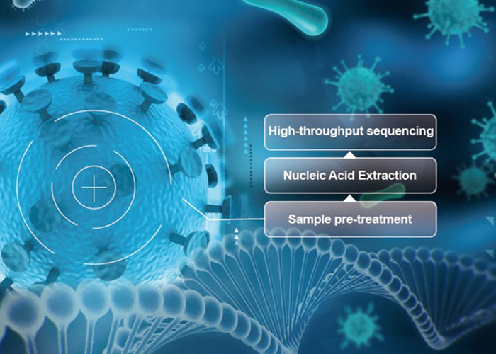 Pathogenic Microorganisms Nucleic Acid Detection Solution