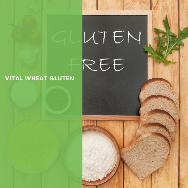 Best selling Food Additives Vital Wheat Gluten 75%