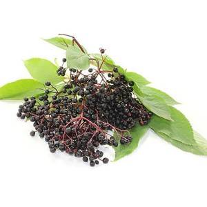 ʻO Sambucus Nigra Extract Elderberry
