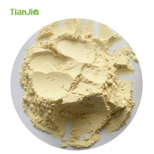 Fabricante de aditivos alimentarios TianJia Extracto de raíz de ginseng