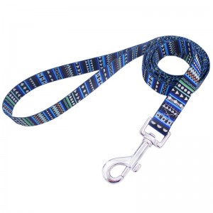 Custom Dog Leash and Collar Set
