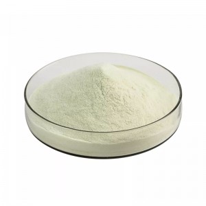 Białko fasoli mung jako suplement i substytut jajka