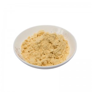NON-GMO Allergen Free Organic Pea Protein Powder