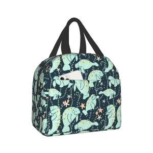 Paniudto Bag Unisex Reusable Portable Insulated Bag Picnic Travel Bag