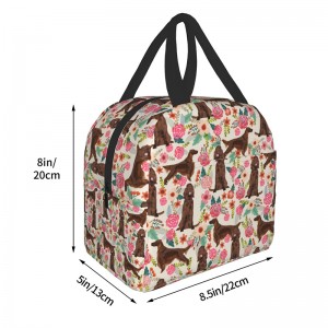 Customizable pateni lunch bag, yakanakira kufamba lightweight insulation bag