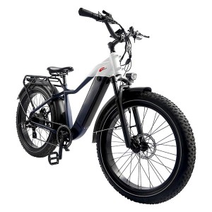 Elektrinis kalnų dviratis TIKI 750w
