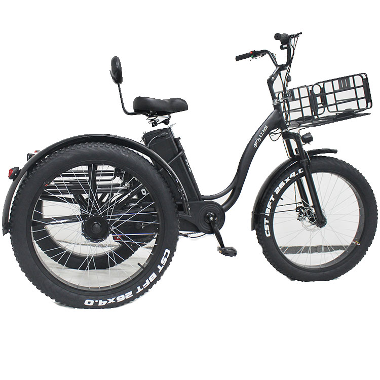 大人のための3輪電動自転車注目の画像