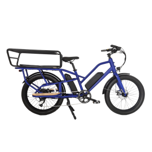 Bicicletă electrică TIKI Family Cargo