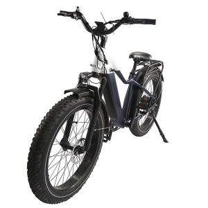 TIKI mountain bike elettrica 750w