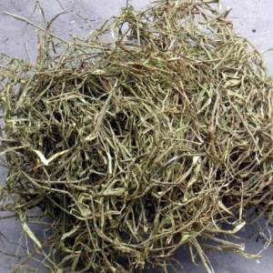 Pasokan Pabrik Ekstrak Kulit Willow Putih Salicin Alami Murni