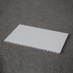 Panel sándwich de panal de aluminio
