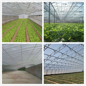 Chinese wholesale China Galvanized Square Steel Pipe 90 * 50 Gigamit alang sa Greenhouse Structure