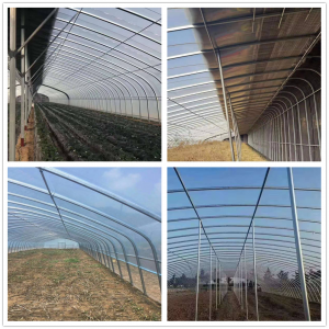 OEM Factory alang sa China Environmental-Friendly Economy Steel Structure para sa Fruit Greenhouse