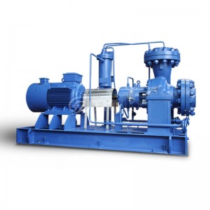 API610 ANSI standardna petrokemijska pumpa za prijenos teškog sirovog loživog ulja za kemijski proces