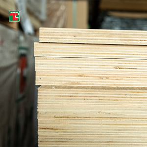 18Mm Single Slide Ev Eucalyptus E1 E0 Commercial Plywood Para sa Muwebles