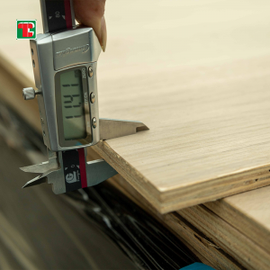 Plywood tal-fuljetta tal-ġewż 4X8- Fornitur tal-plywood |Tongli