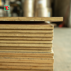Fire Retardant Plywood Manufacturers |Sunog Rated Plywood |Tongli