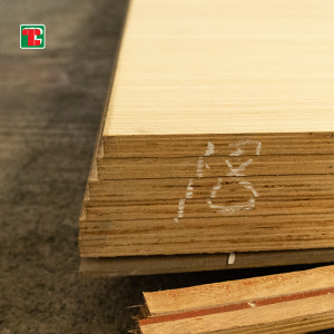 a corrediça dobro de 18Mm projetou a madeira compensada comercial do folheado de madeira para a mobília