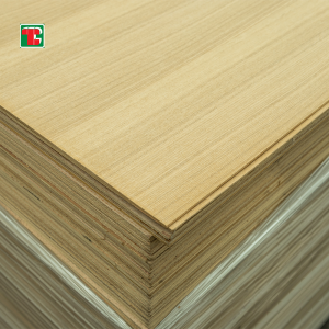 Chinese Ash Veneered Plywood – Cross Stripe |Tongli