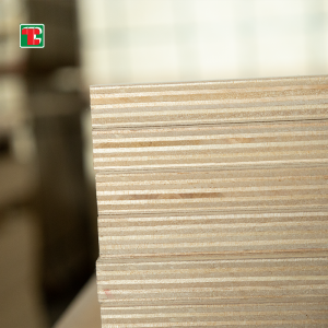 Factory Wholesale Birch Plywood Panel, Murang Gastos na Moisture Resistant Waterproof Plywood