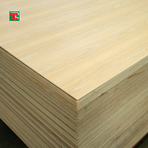 3.2mm Chinese Fancy Fraxinus Veneer Plywood in corona Cut pro Decoration