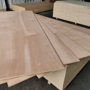 Plywood Komèsyal nan Chennai – Epesè: 3 a 25 mm |Tongli