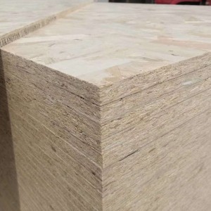 High Moisture Resistant 1220 × 2440 Oriented Strand Board ENF Sip Panel Plate Osb