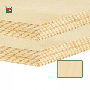 Paneis de madeira contrachapada de bidueiro por xunto de fábrica, madeira contrachapada impermeable resistente á humidade de custo barato