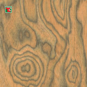 Tabu Engineered Wood Furnier Manufacturers – Umetno barvan rekonstituiran lesni furnir |Tongli