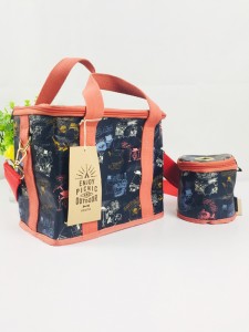Recyclable PP Woven Cooler Bag for Outdoor Picnic and Parties