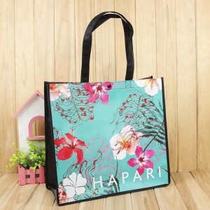 Custom Your Own Non Woven Gift Bag Laminated Shopping Bag