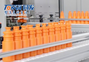Máquina de moldeo por soplado TONVA de 10 cavidades para a liña de produción de botellas de plástico