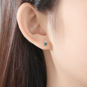 Basali ba Tloaelehileng ba 925 Sterling Silver Delicate Stud Earrings Diamonds Zircon Sapphire SE0415