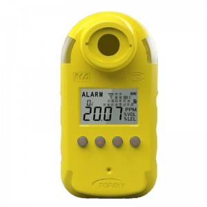 CTL1000-100 CO&H2S kelių dujų detektorius