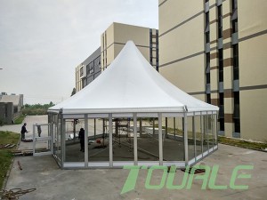 hexagonal ສູງ tent ແກ້ວຫຼື PVC curtain wall
