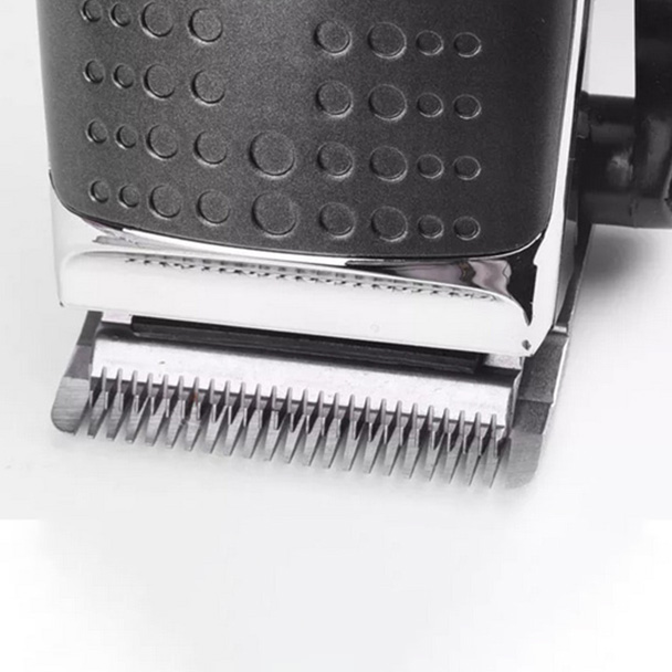 Best Blow Dryer Brushes 2023 - Forbes Vetted