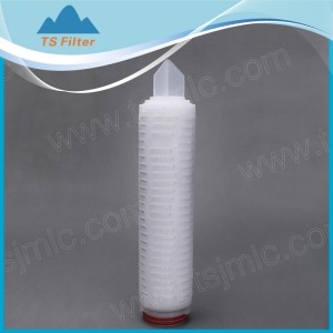 Polyethersulfone (PES) membrane Pleated Filter ...