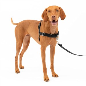 Custom No Pull Easy Walk Nylon Hundegeschirr für die Sicherheit von Haustieren