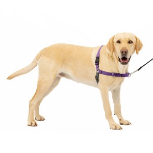 Kohandatud No Pull Easy Walk nailonist koerarakmed lemmikloomade ohutuse tagamiseks