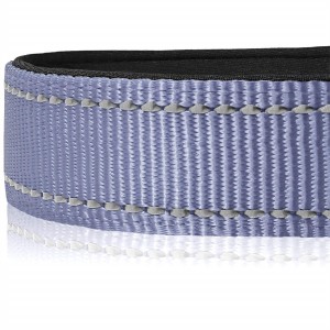 Custom Soft Neoprene Padded Breathable Nylon Reflective Dog Collar