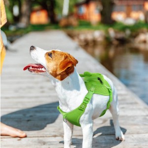 No-Pull Pet Harness Vest with Saddle Bag Pet Backpack Dog Backpack